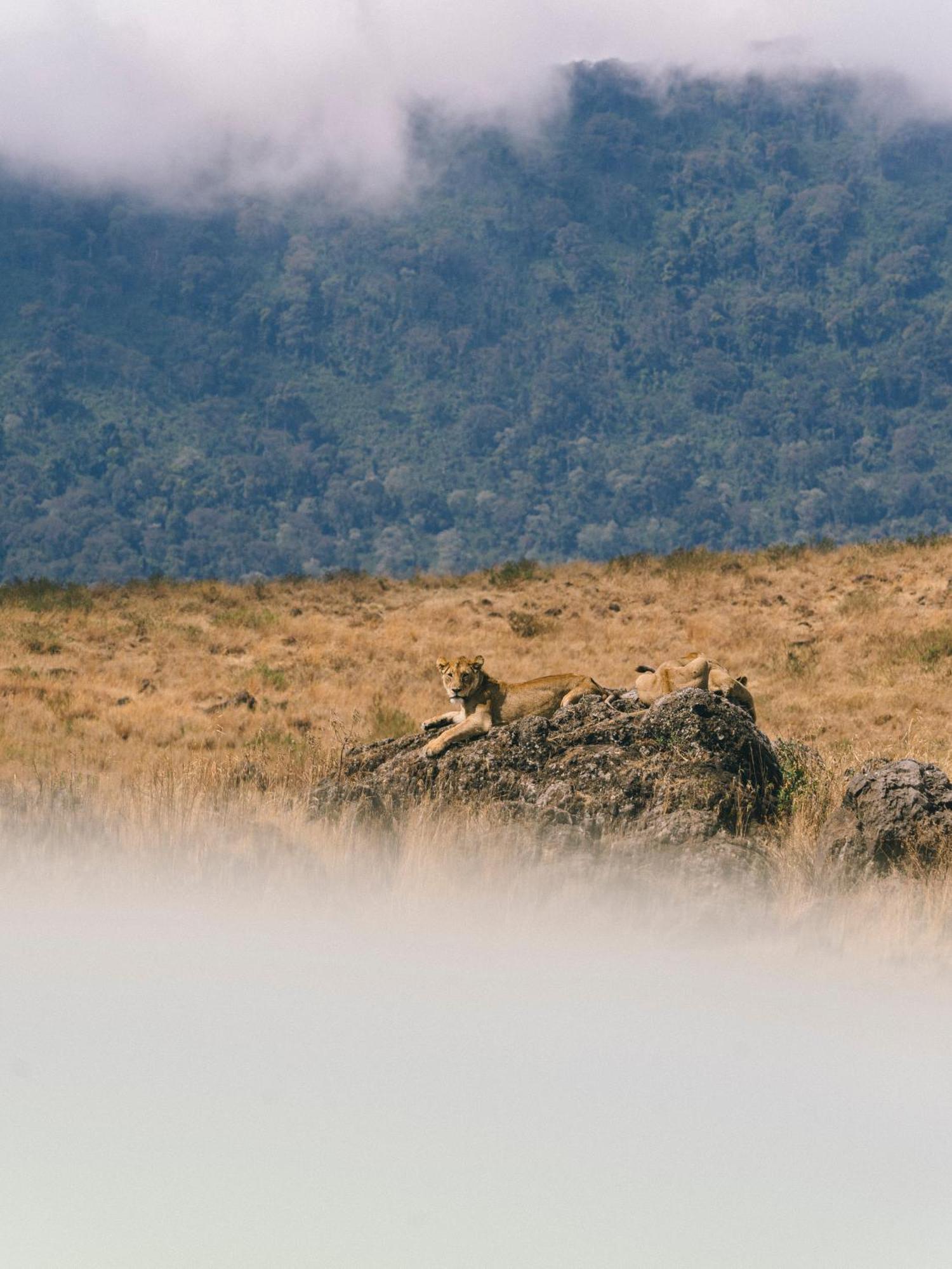 Ngorongoro Lodge Member Of Melia Collection - The Leading Hotels Of The World Eksteriør bilde
