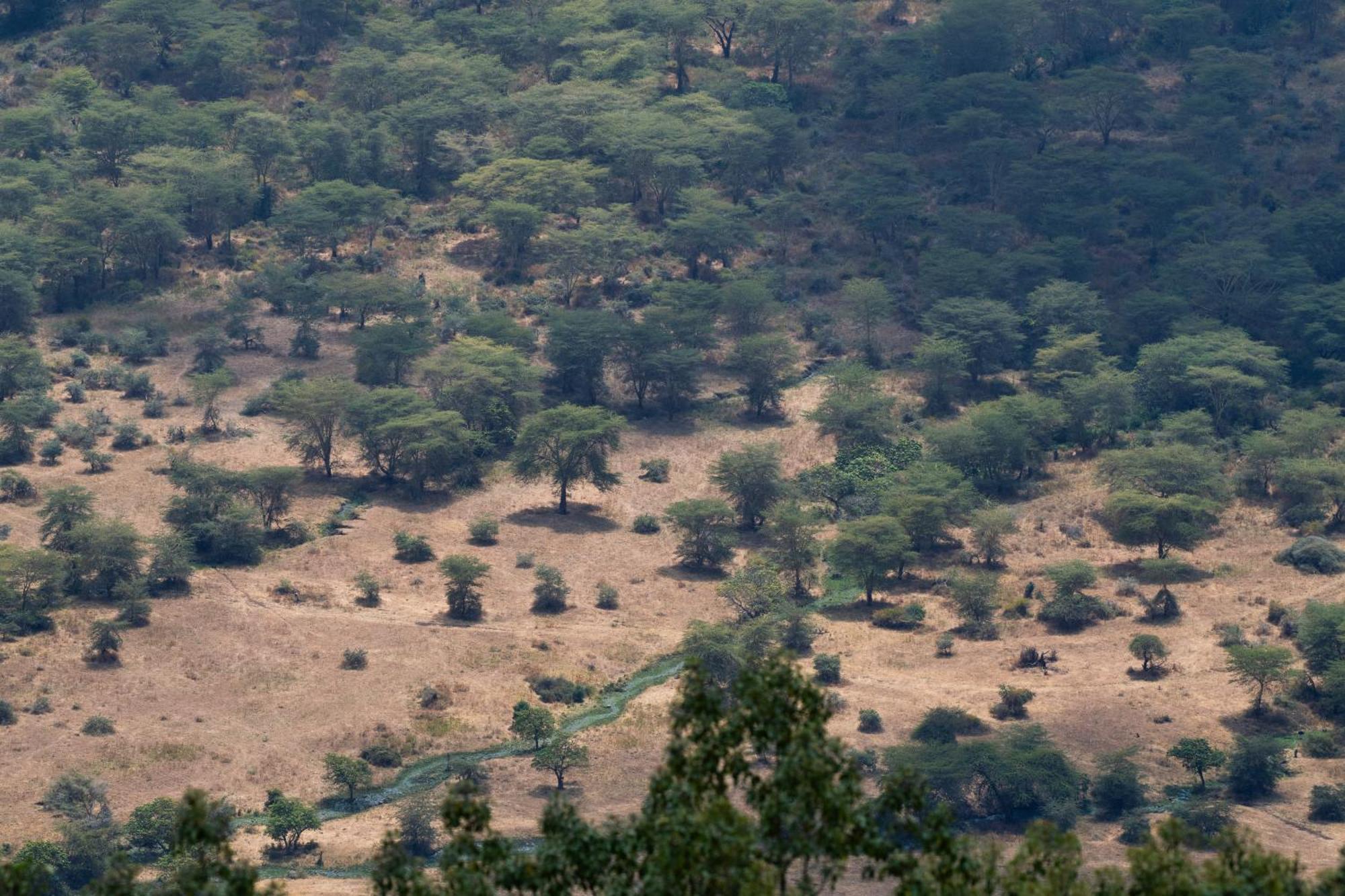 Ngorongoro Lodge Member Of Melia Collection - The Leading Hotels Of The World Eksteriør bilde