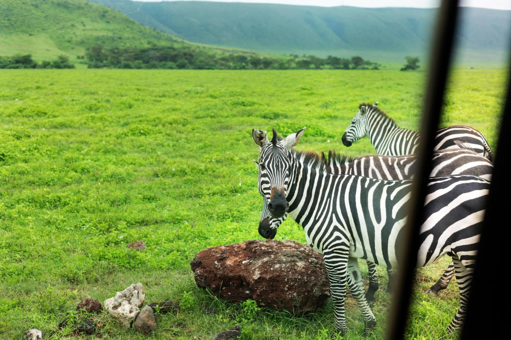 Ngorongoro Lodge Member Of Melia Collection - The Leading Hotels Of The World Eksteriør bilde